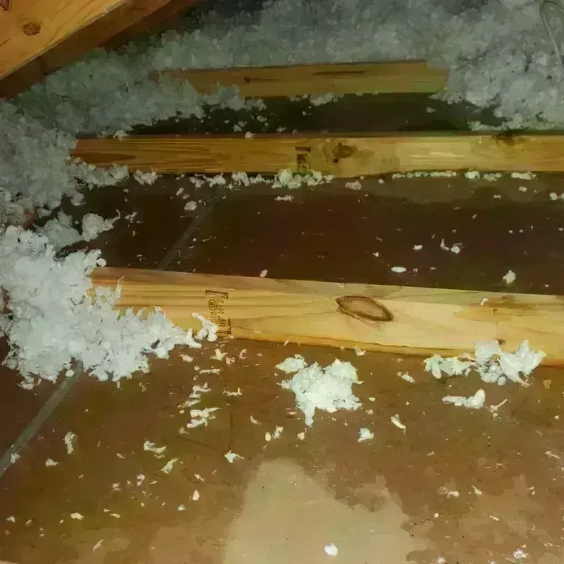 Attic Water Damage in Bakersfield, CA