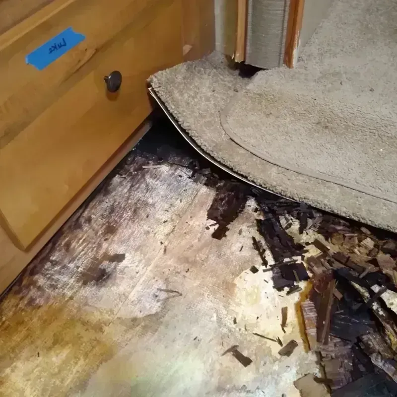 Wood Floor Water Damage in Bakersfield, CA